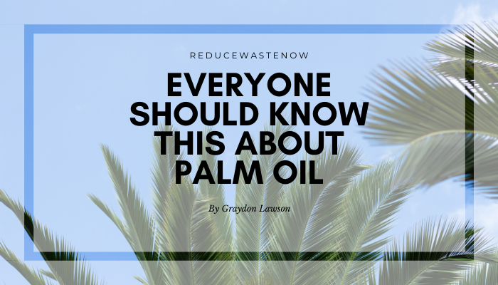 15 Popular Products that Contain Palm Oil