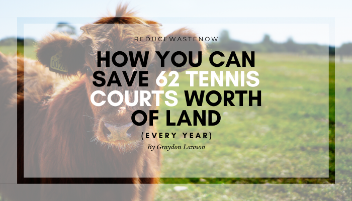 This is Why Going Vegan is Good For The Environment