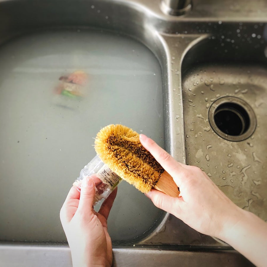 Coconut Zero Waste Scrub Brush